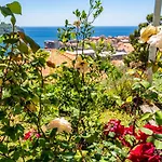 Apartman Rose 1 *