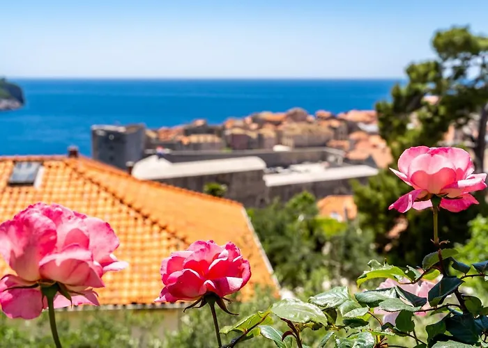 Rose 1 * Dubrovnik