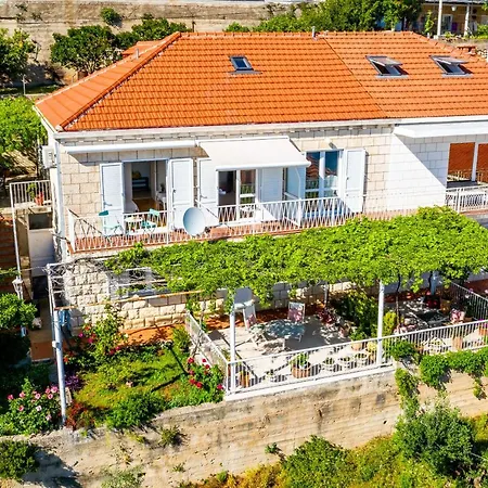 Rose 1 * Ντουμπρόβνικ